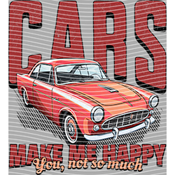 Car-CA 233